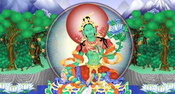 Tara Feature
